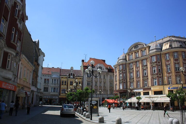 Stěhovací Služba v Ostravě - Bez Starostí a Efektivně