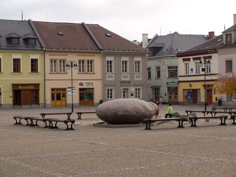 Stěhovací Služba v Bruntále – Rychlé a Efektivní Stěhování bez Starostí