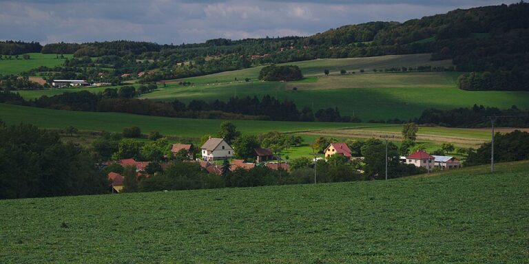 Stěhovací Služba v Brno-venkov Jih – Bez Starostí a Efektivně
