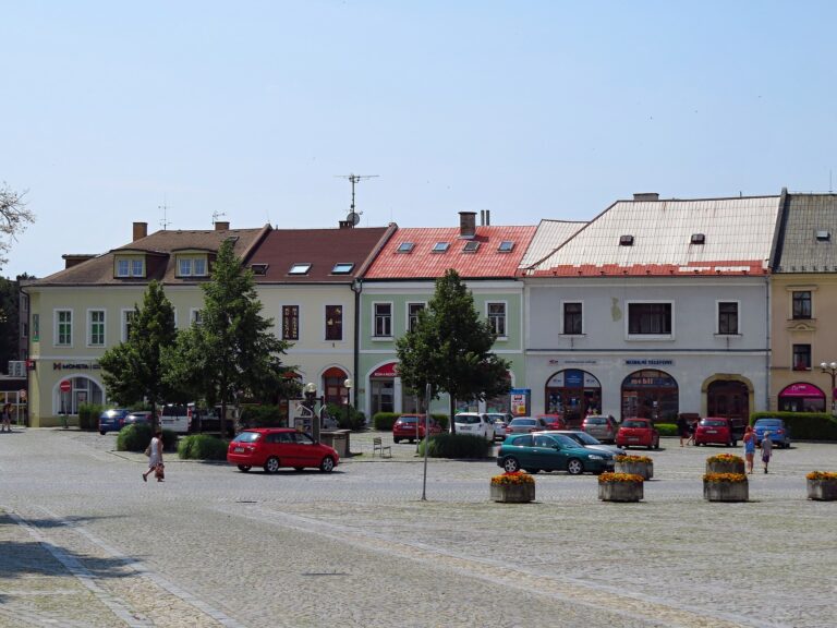 Stěhovací Služba v Rychnově nad Kněžnou – Rychlé a Bezproblémové Stěhování pro Každého